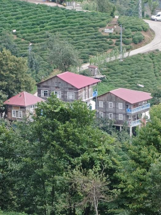 ŞİİRLİ Konak