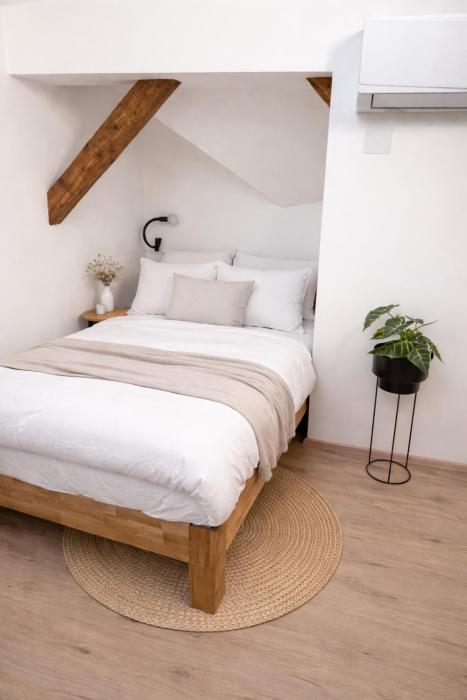 Ekoviki2