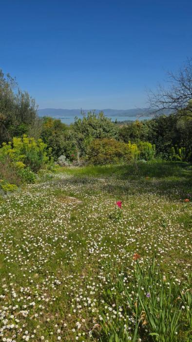 Il Giardorto