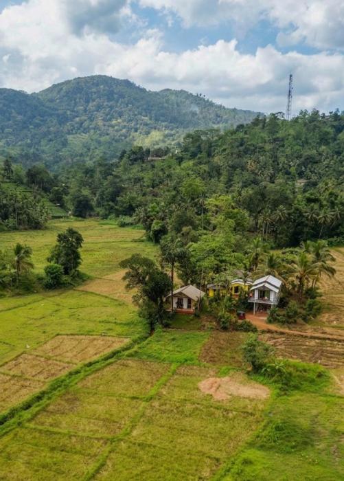 Forest & Fields Sinharaja - Hidden Edge Retreat