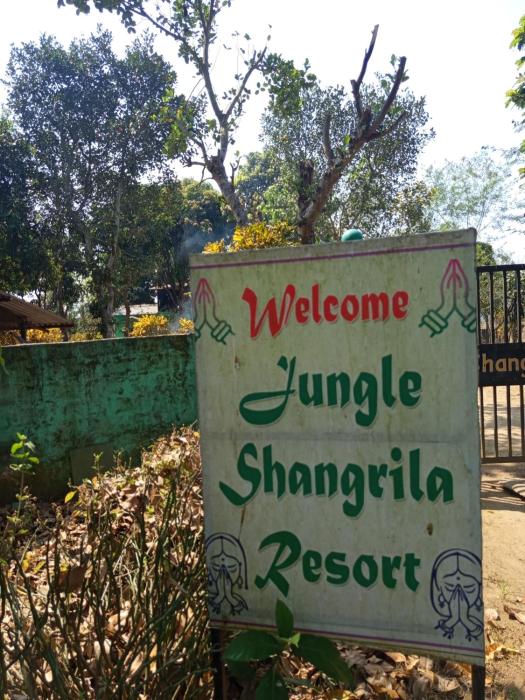 Jungle shangrilla resort