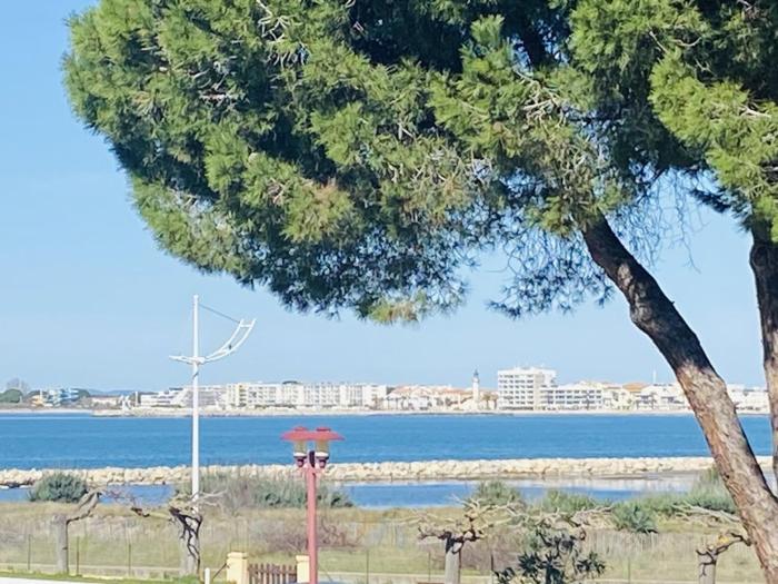 Appartement avec clim et parking, vue mer - FR-1-874-67