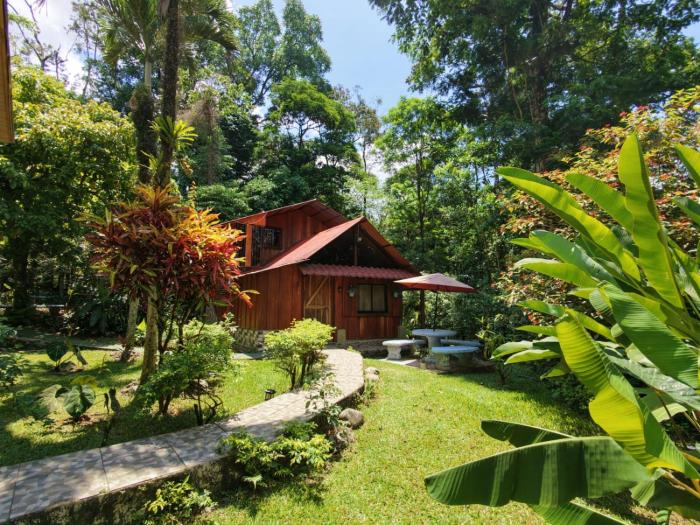 Tropical Forest Adventure Near Arenal Volcano