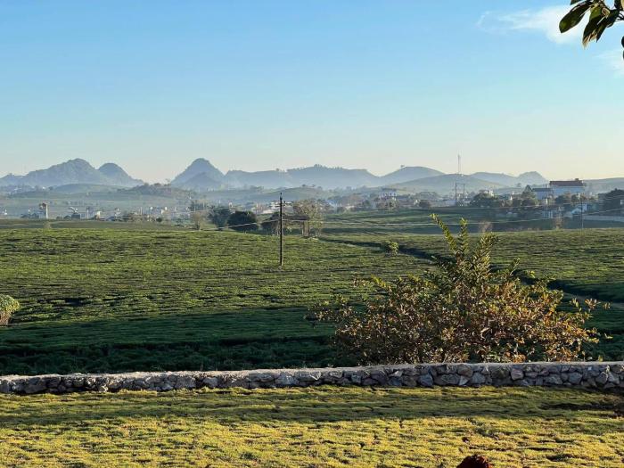 Hiên Nhà Homestay