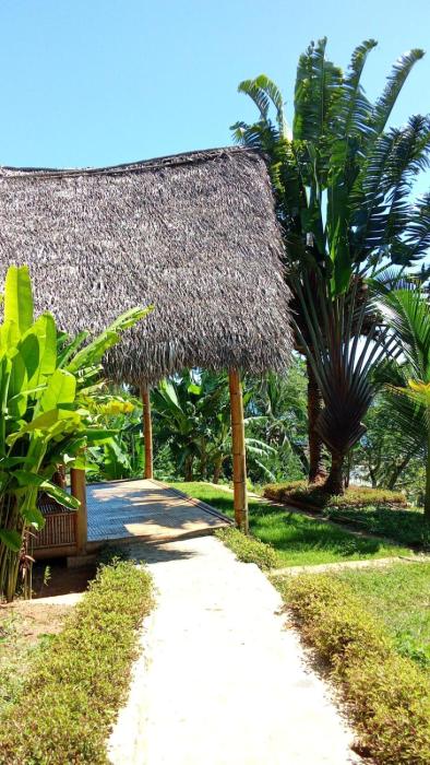 caveau des lemuriens