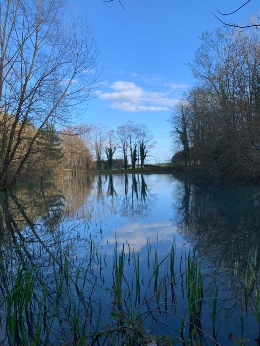 Domaine de létang du Tom et sa bulle