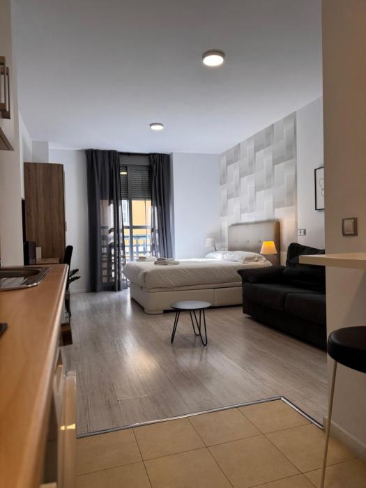 Estudio Malaga centro 10