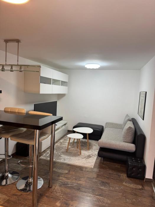Small apartment in heart of Werfen