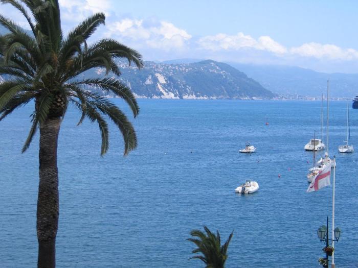 Bright apartment with seaview