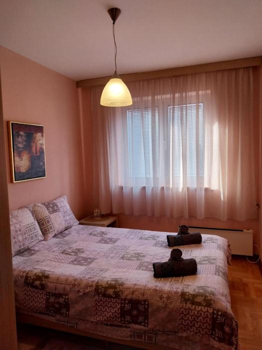 Apartman Petar 1