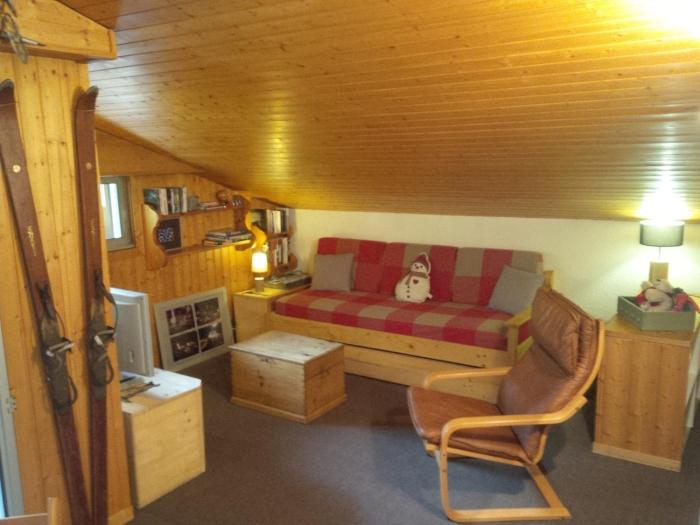 appartement cosy ambiance chalet, 3mn du centre