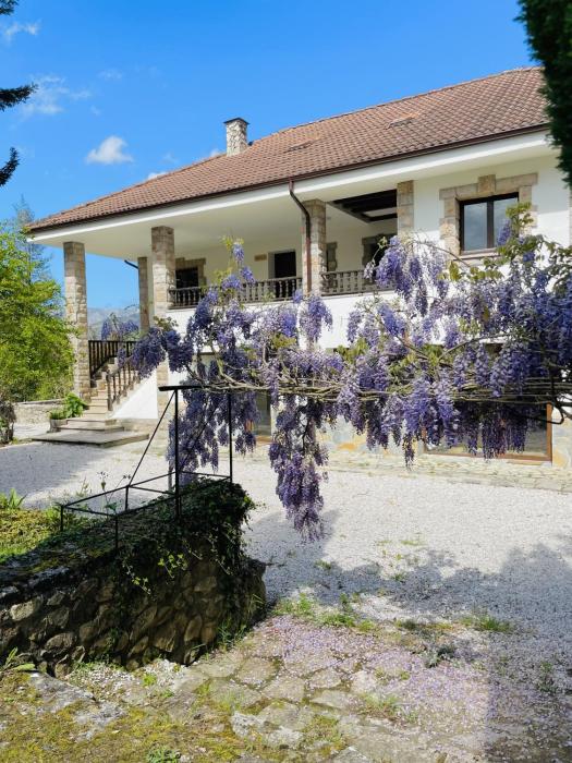 Casa Raíz y Cumbre