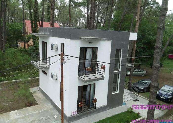 SHEKVETILI s