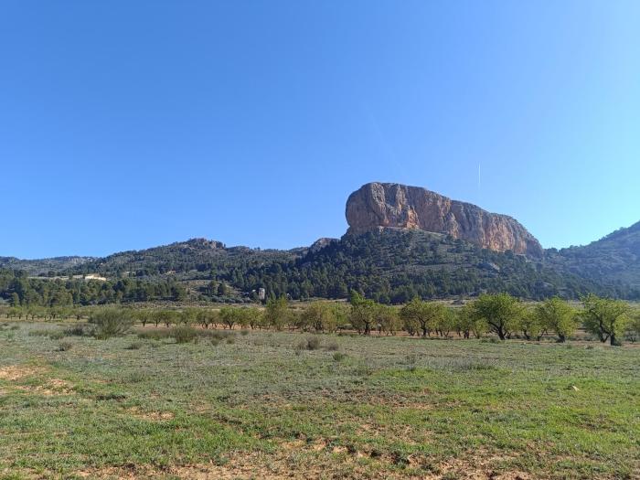 Casa rural los guerreros de peñarrubia