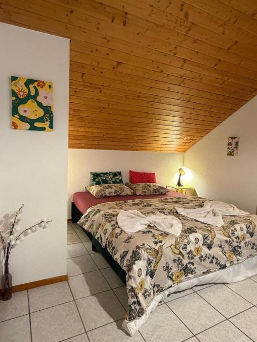 Soso Studio Cosy