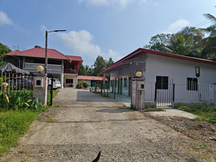 Forest Way Home Sepilok Sandakan