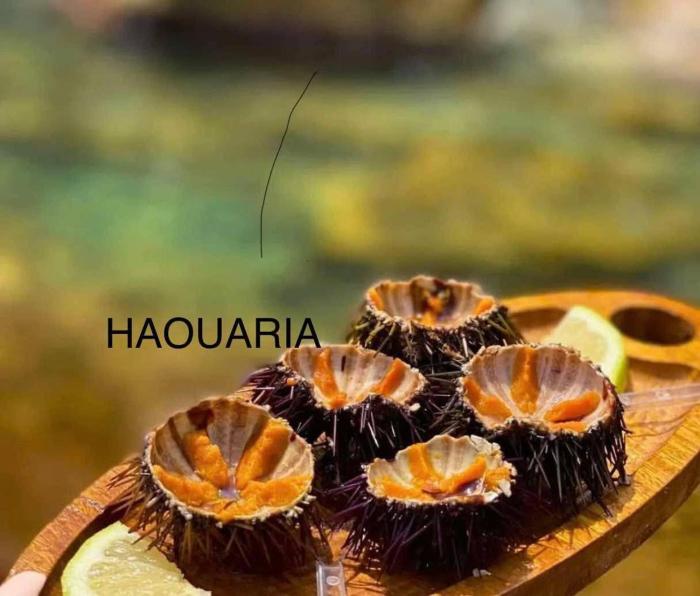 Haouaria PANTELLERIA
