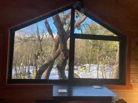 M Refugio 4 I Canelo I 2 personas I Tinaja I Bosque Nativo