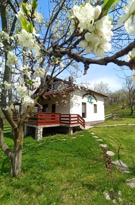 Căsuța din Livadă Schiulesti