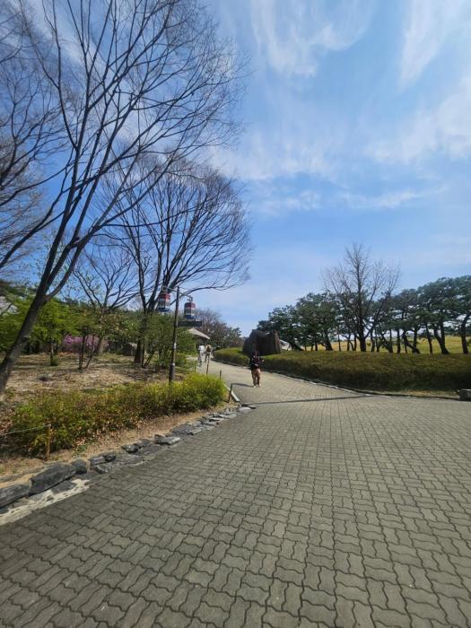 #프라이빗 정숙한 숙소 #명동 #경복궁 #서울역 #보문역 도보3분 #짐보관 #5박이상 조식