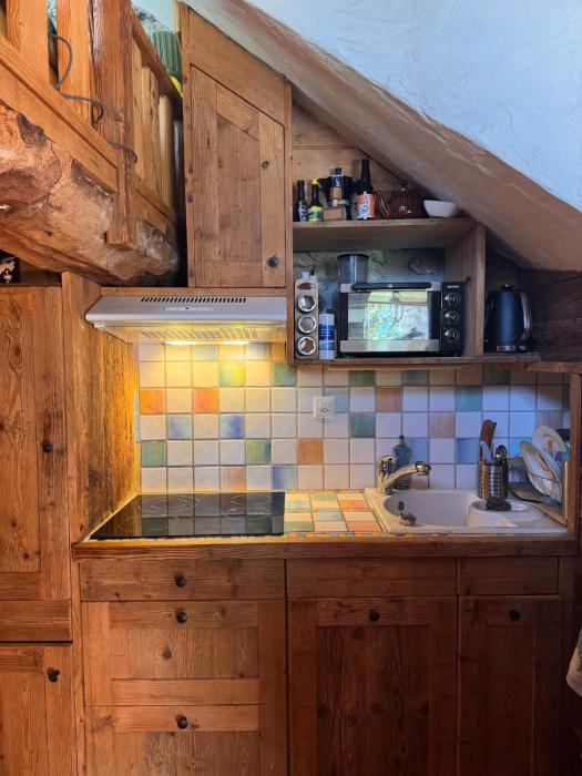 cosy mountain studio