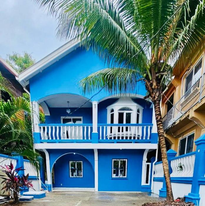 Blue Paradise