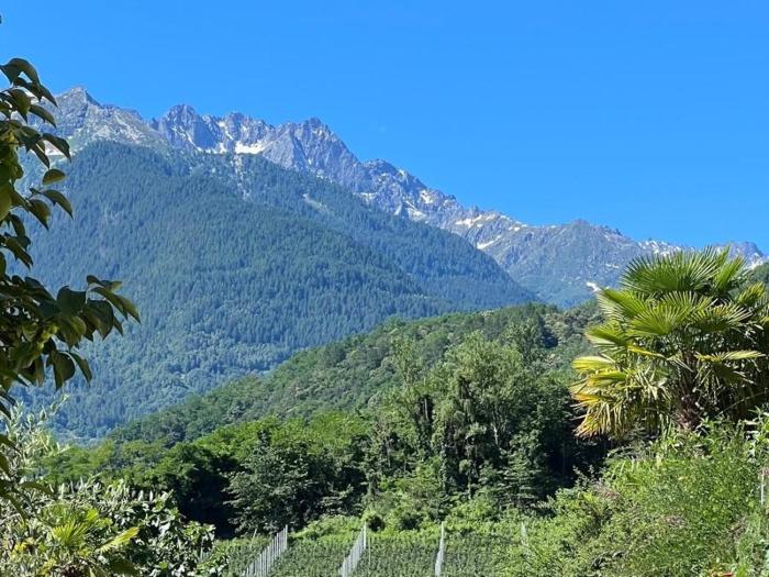 Corte Righi - Modernità con vista a Bianzone