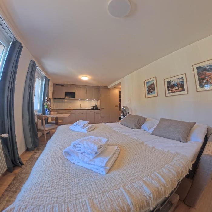 Design-Studio nahe der Piste Lenzerheide