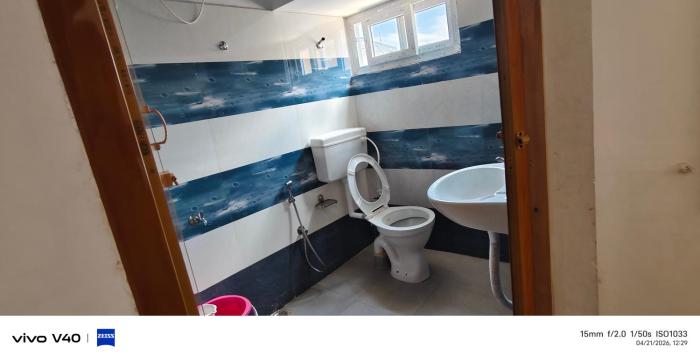 Alexa home saty