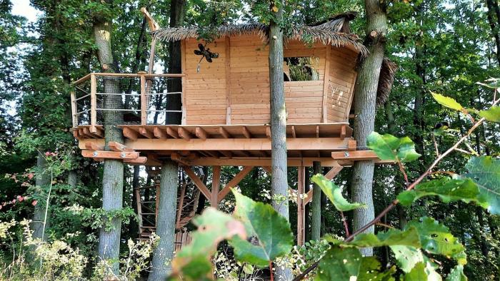 Treehouses Karlov pod Pradědem