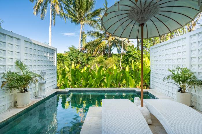 EDVIN MARTON ROMANTIC VILLAS 1BR Stunning Jungle View Private Pool Villa in Adults only Luxury Boutique Resort Ubud