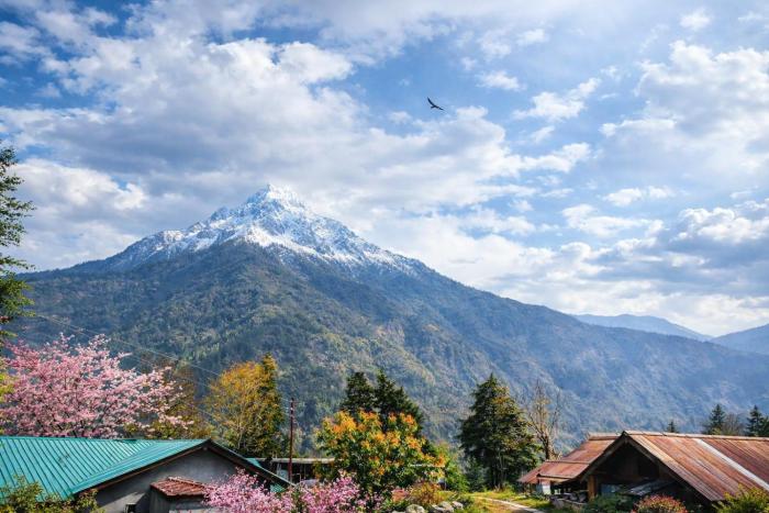 Kaafal tree cottage and restaurant