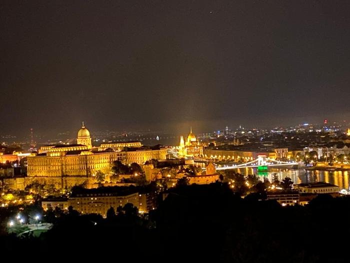 Apartment on Gellért Hill Budapest Downtown with free garage & Castle View