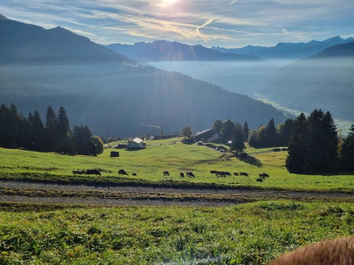 Ferien auf dem Bergrbauernhof Falider