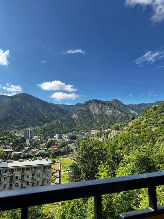 Woodland Borjomi