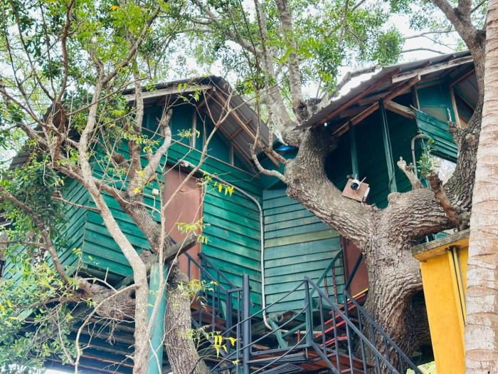 Eco Tree House Yala