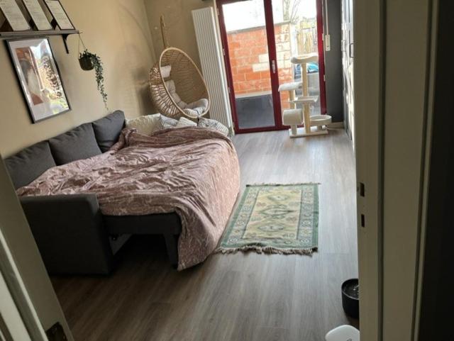 Room 1 km from tomorrowland