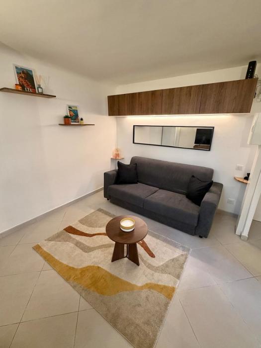 Very charming studio in Nice