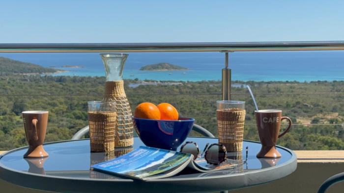 Villa vue sur mer à 180, baie de St Cyprien, pas de vis à vis