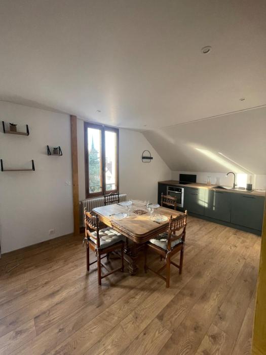 Annecy city center apartment
