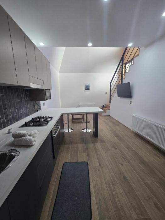 Palguin pad loft # 1