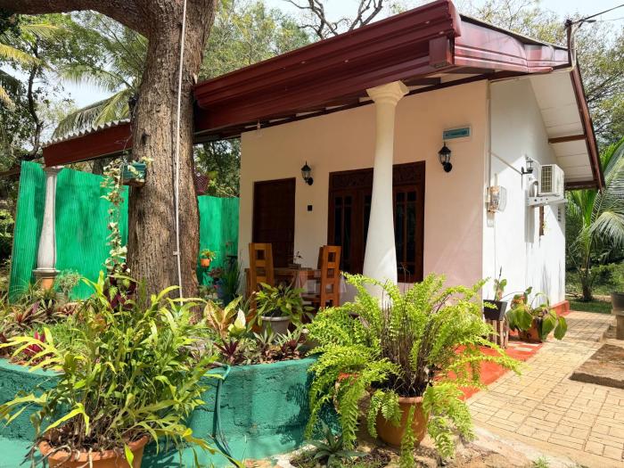 Rock Vista Cottage - Sigiriya