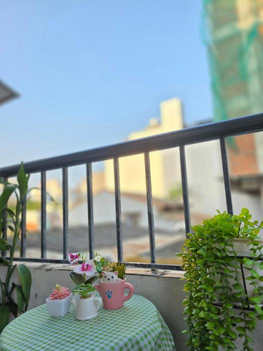 Lishome 2