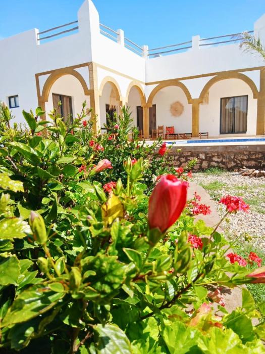 Maison Blanche Essaouira - Maison dhôtes - Suite Garden