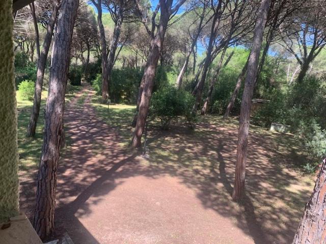 Appartamento in pineta Il Grillo