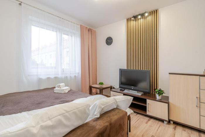 Gliwice Homely Apartment by BookingHost