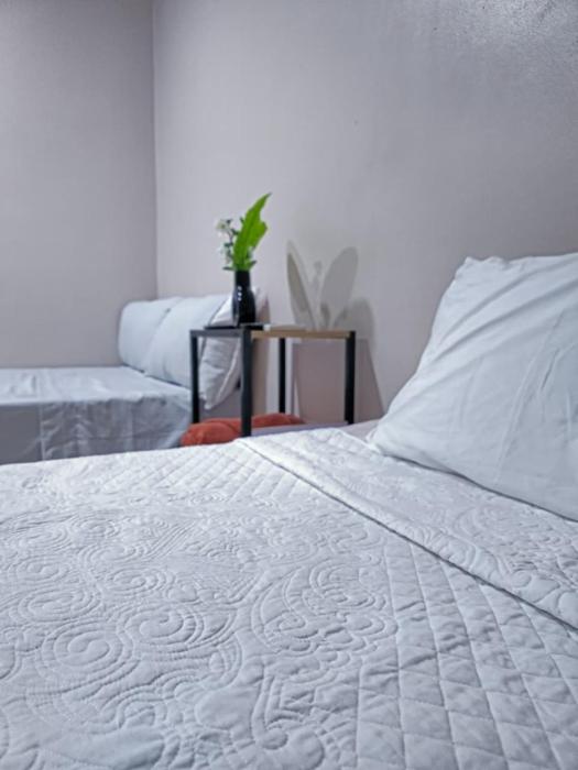 The Palm Suites