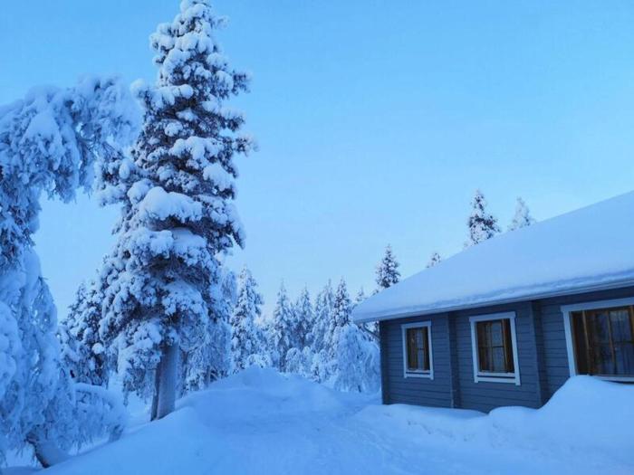 Metsäkoti