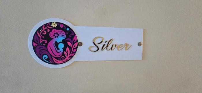 Janani Silver Apartment Chathannoor, Kottiyam