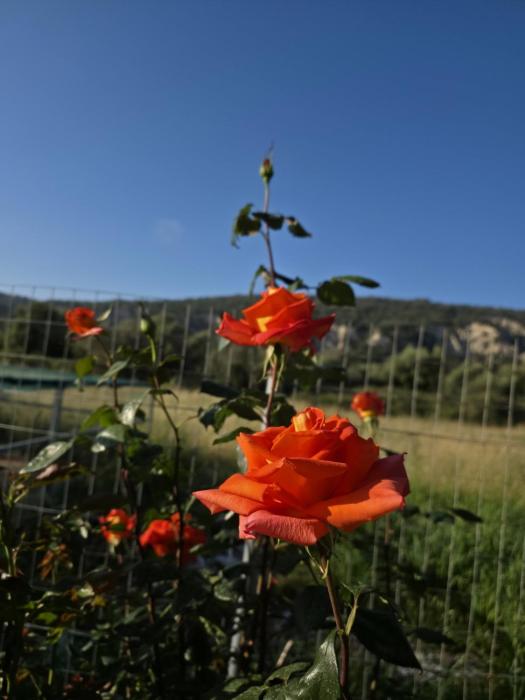 SOFIAS VILLAGE VIEW a
